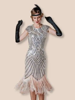 [US Warehouse] Pink 1920s Tassel Gatsby Flapper Dress -BUNBUN Fancy Clothing Shop 9 4f110ef8 5059 404c 9985 fd887332a768