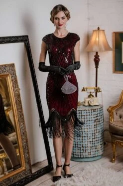 [US Warehouse] Red 1920s Sequin Beaded Fringed Dress -BUNBUN Fancy Clothing Shop SCH000323 R 4 247a4c40 b283 4215 b90b 46a72a4087f1