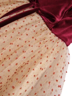 Burgundy 1950s Velvet Mesh Polka Dot Dress -BUNBUN Fancy Clothing Shop SCHL002745 5