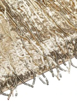 1960s V-Neck Tassel Sequined Wrap Dress -BUNBUN Fancy Clothing Shop SCHL003145 CH 01 6 compressed