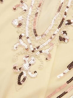 1920s Cold Shoulder Embroidered Fringe Sequins Dress -BUNBUN Fancy Clothing Shop SCHL004098 4 compressed