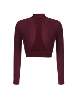 2PCS Wine Red 1960s Velvet Bodycon Dress -BUNBUN Fancy Clothing Shop SCV009606 1