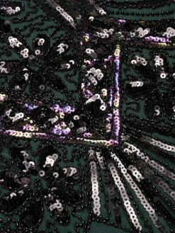 Plus Size 1920s Sequined Dress -BUNBUN Fancy Clothing Shop SVH034316 DG 5