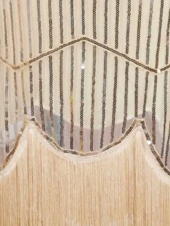 [US Warehouse] Apricot 1920s Beaded SequinFlapper Dress -BUNBUN Fancy Clothing Shop SVV031857 BE 4